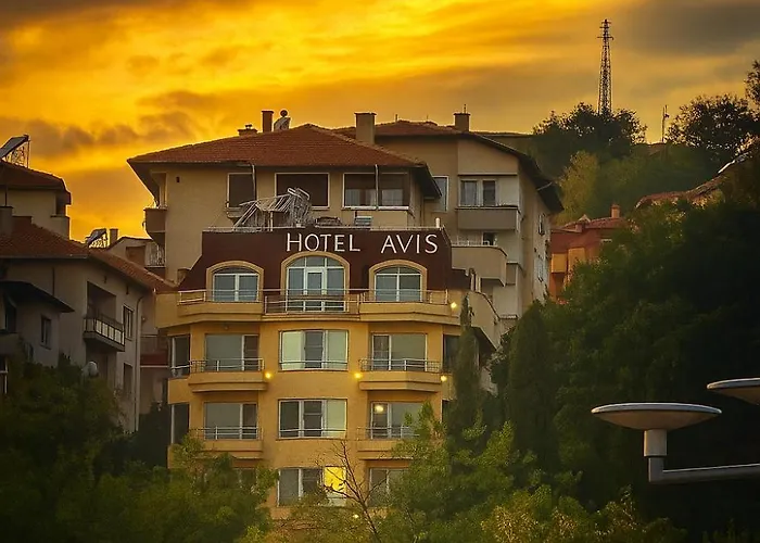 Hotel Avis